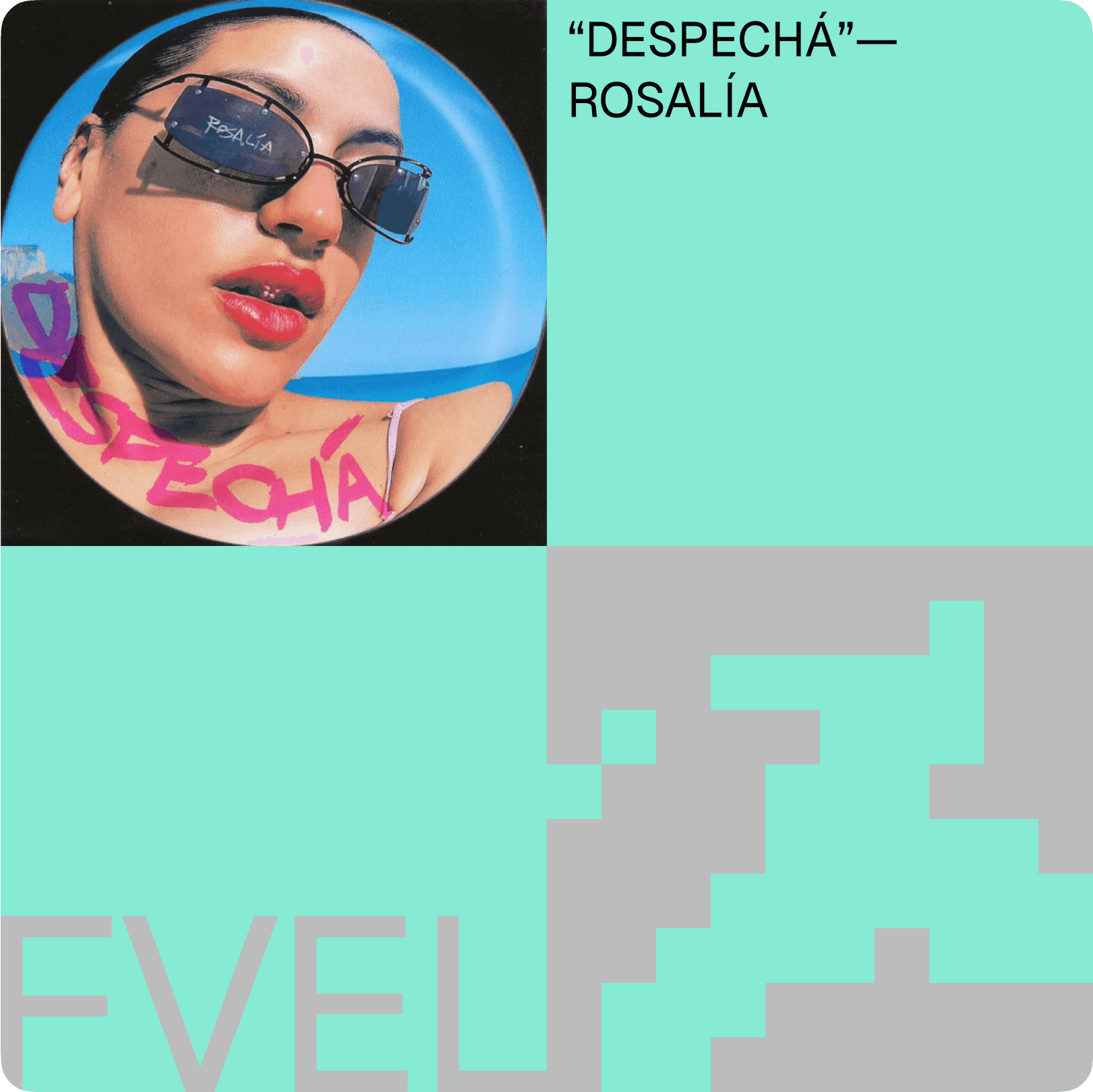 FVEL project visual