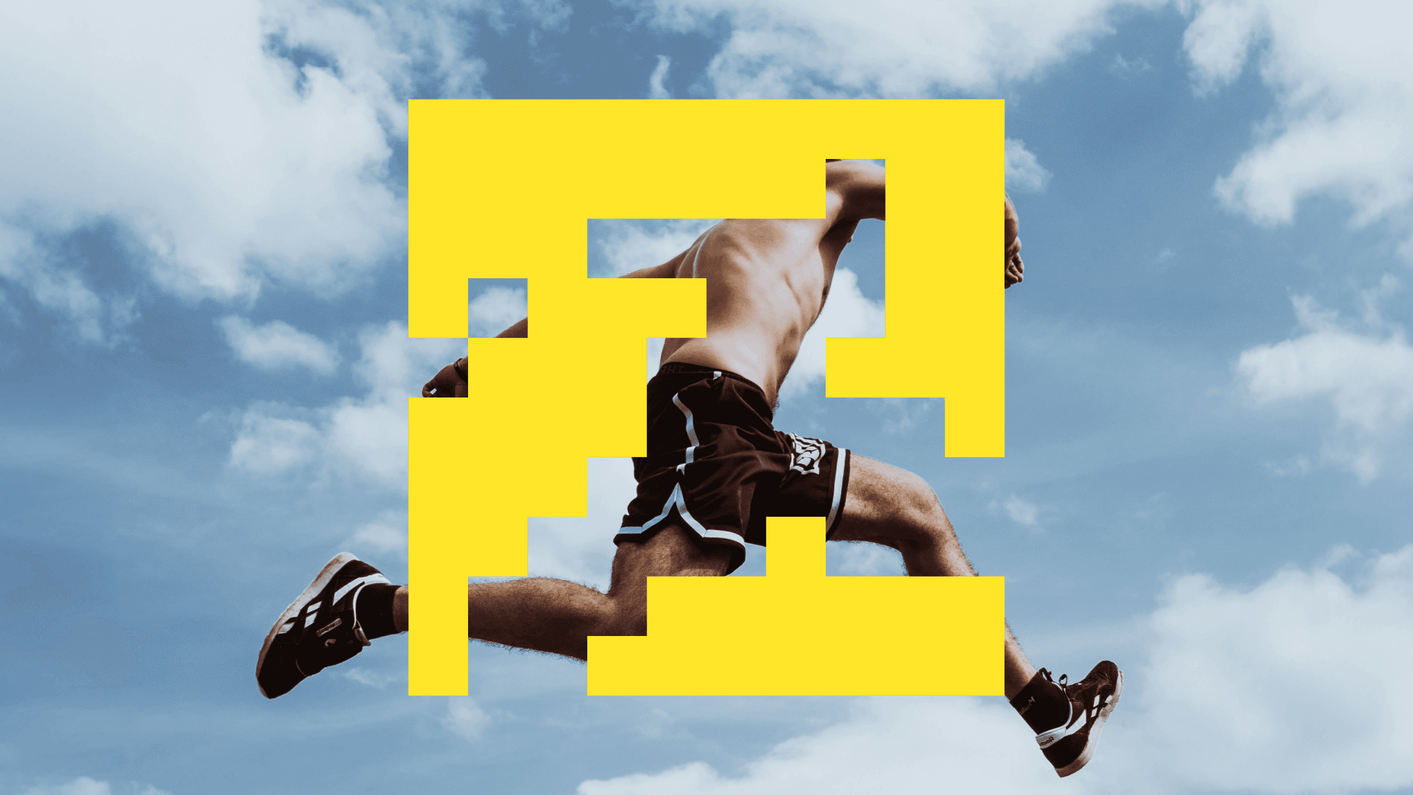 FVEL project visual