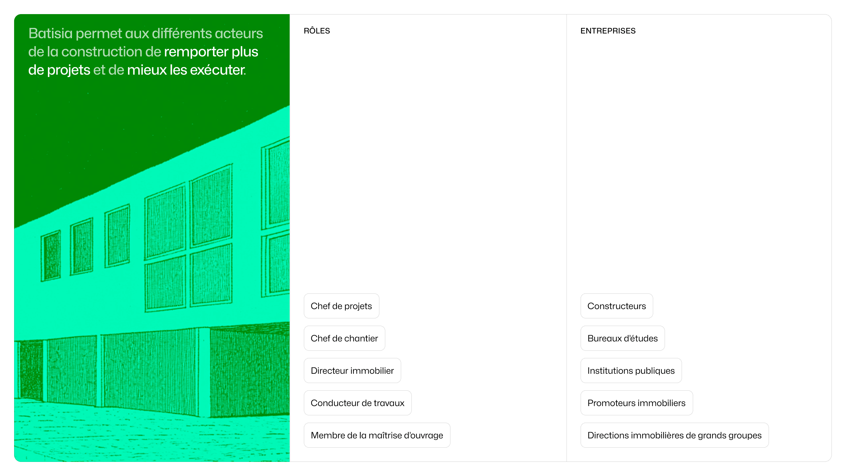 Batisia project visual